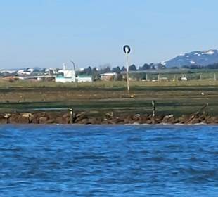 Bootstour Ria Formosa