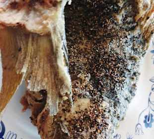 Der letzte Pfefferkarpfen der Saison 2019