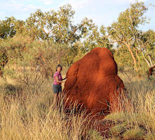 Karijini NP