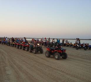Quad - Drive