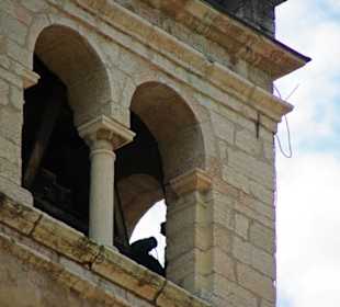 Hoch zum Glockenturm