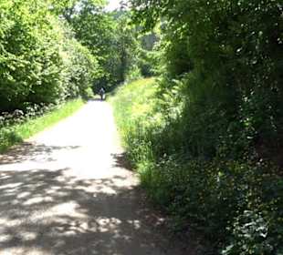 Wanderung Klosterquelle Klosterreichenbach