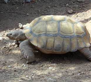 Die einzigen, die sich bewegt haben