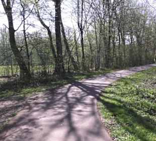 Sport- und Freizeitpark Markwasen