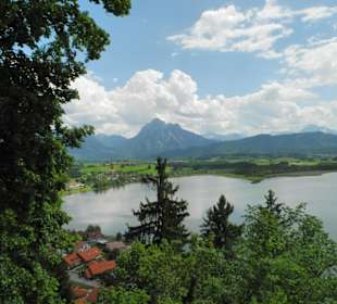 Der See Ostteil