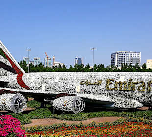 Miracle Garden