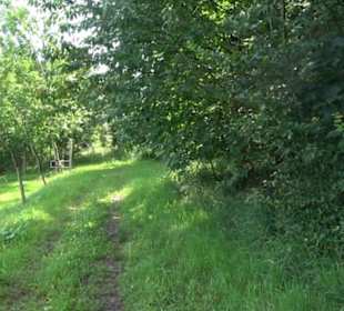 Premiumspazierweg Früchtetrauf-Leisawegle