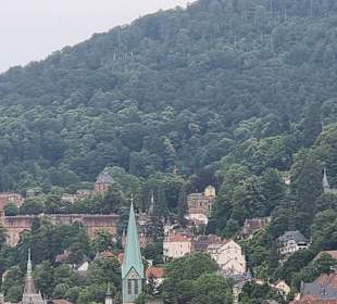 Ausblick zum Schloss