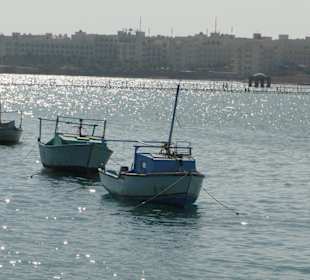 Boote vor der Küste 