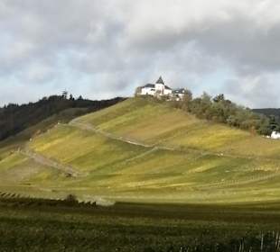 Wandern Burg (Mosel)