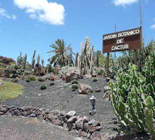 Oasis Park / Jardin Botanico de Cactus
