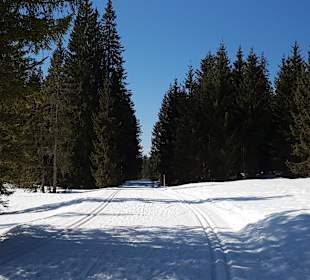 Skigebiet Winklmoosalm/Steinplatte