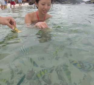 Jede Menge Fische die aus der Hand fraßen