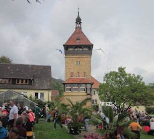 Geilweilerhof