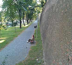 Stadtmauer Sibiu/Hermannstadt