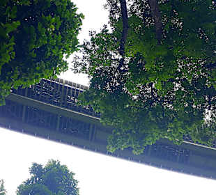 Henderson Waves Bridge