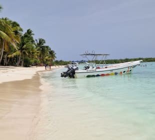 Saona