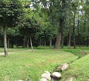 Dolny park w Peterhofie