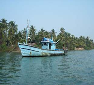 Tagesausflug auf dem Salt River
