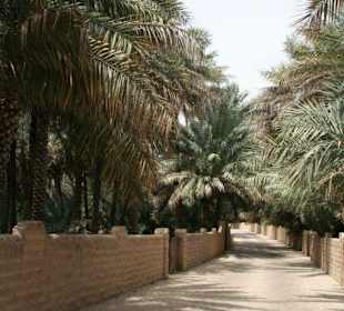 Al Ain Oase