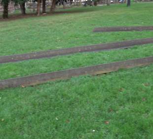 Stadtgarten Stuttgart