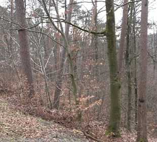 Unterjesinger Wengertwegle