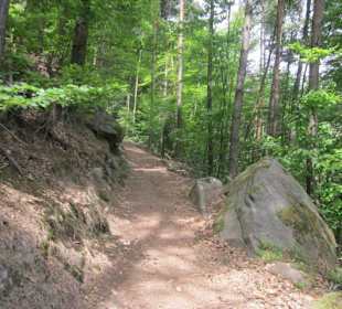 Auf dem Weg zum Hilschweiher