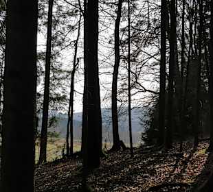 Wandern Drachselsried