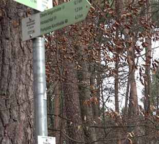 Unterjesinger Wengertwegle