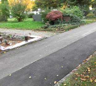 Hauptfriedhof Friedrichshafen