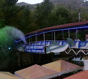 Beste Fischrestaurant