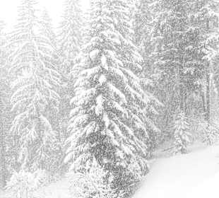 Skigebiet Arosa Lenzerheide