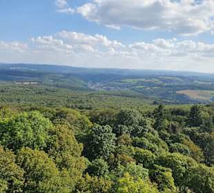 Burg Wildenburg (Hunsrück) - Aussicht vom Turm