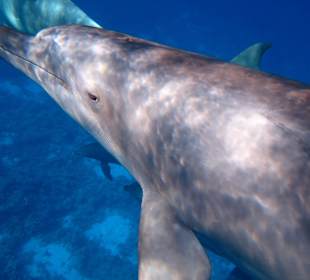 Bilder vom 13.10.16 von mir geschossen