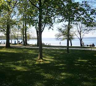 Park am Ammersee