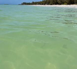 Diani Meer