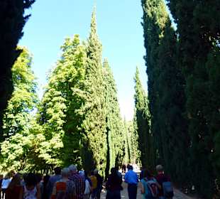 Alhambra / Granada / Sierra Nevada