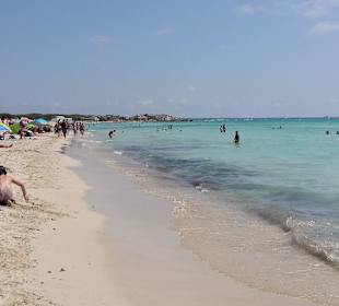 Abschnitt des Es Trenc (Shuttle 20 Minuten Fahrt)