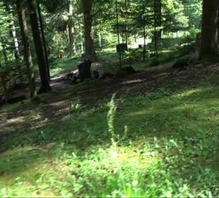 Waldfriedhof Altensteig