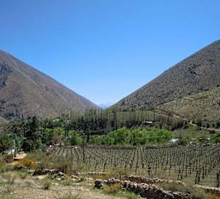 Valle de Elqui