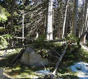 Karkonoski Park Narodowy