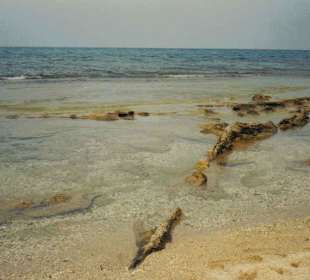 Anissaras