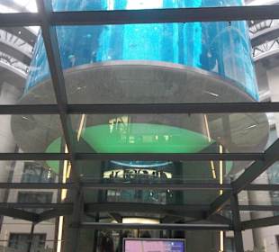 Akwarium z windą w środku