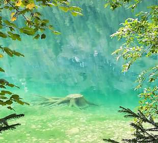 Wandern Bad Goisern