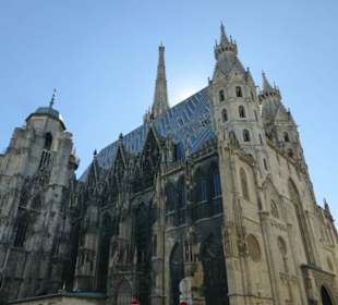 Der Stephansdom am Tag
