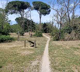 Wandern Lido di Savio
