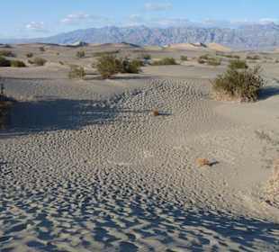 Mesquite Sand Dunes