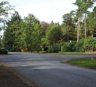 Straßenkreuzung auf dem Ohlsdorfer Friedhof