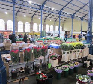 Altstadt Hagenau Markt