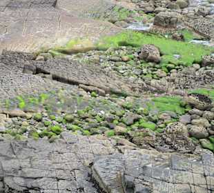 Küste Mullaghmore
